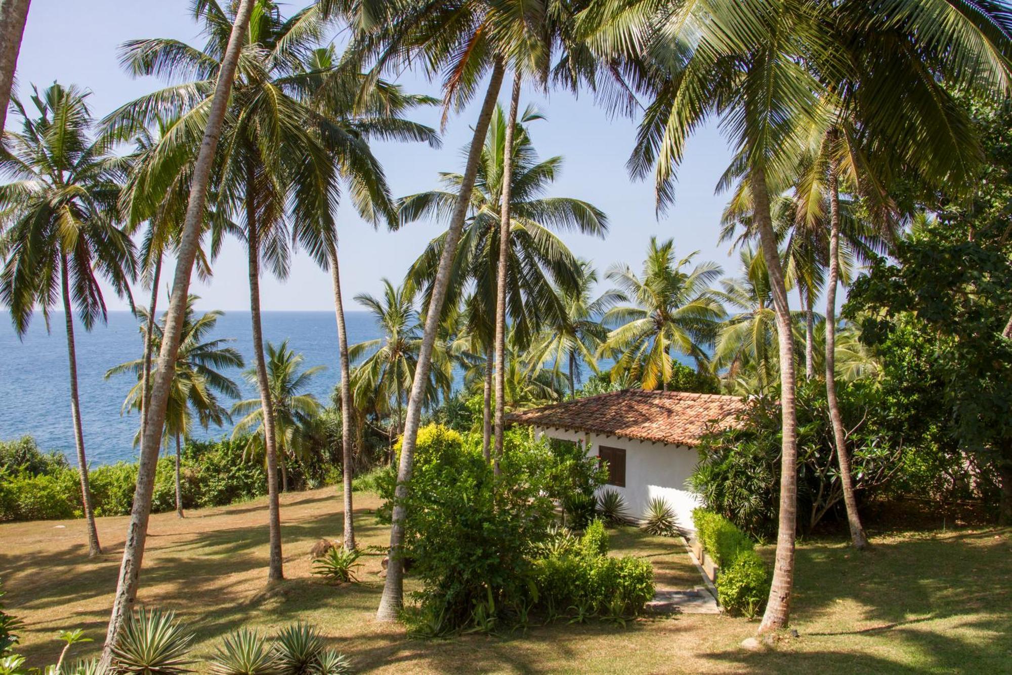 The Saffron House Hotel Dikwella Bagian luar foto