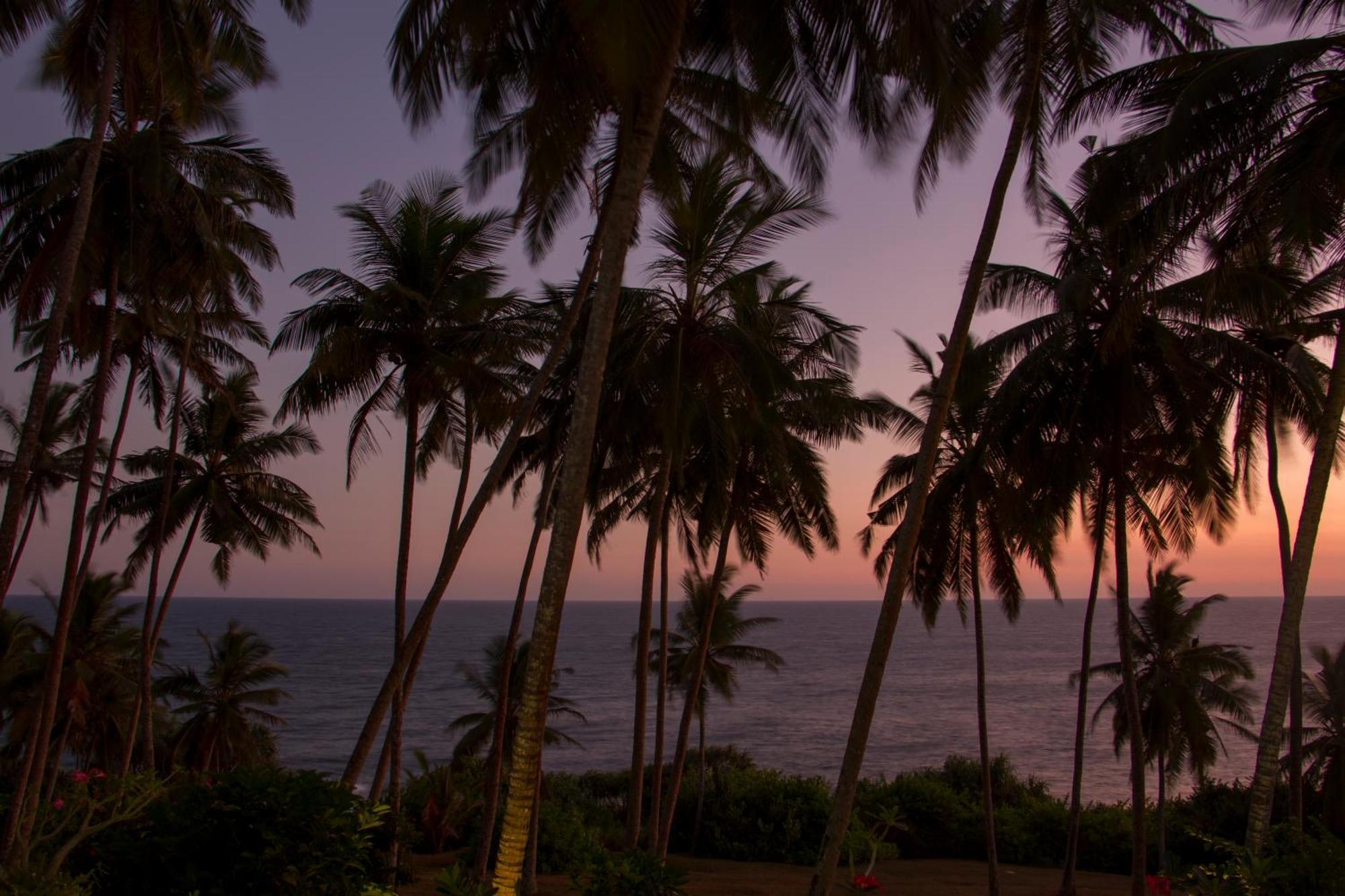 The Saffron House Hotel Dikwella Bagian luar foto