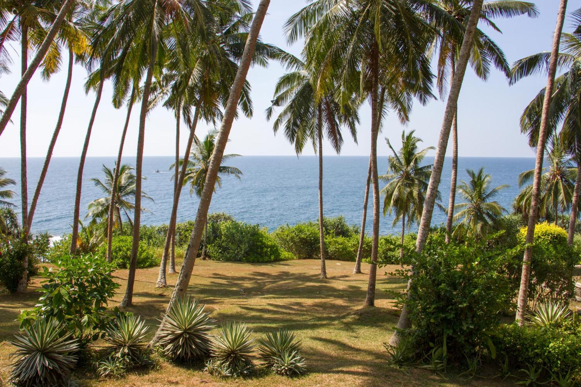 The Saffron House Hotel Dikwella Bagian luar foto