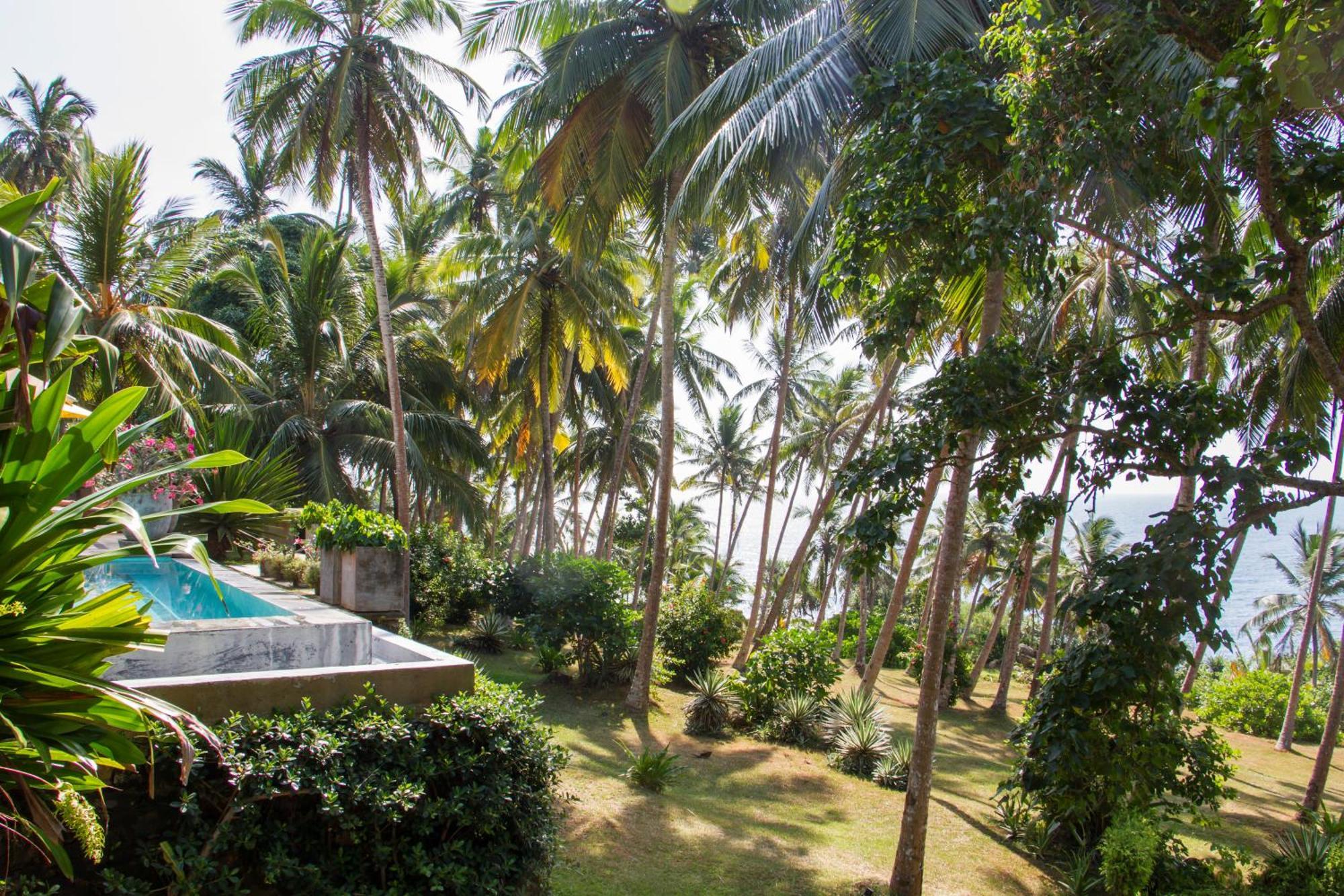 The Saffron House Hotel Dikwella Bagian luar foto