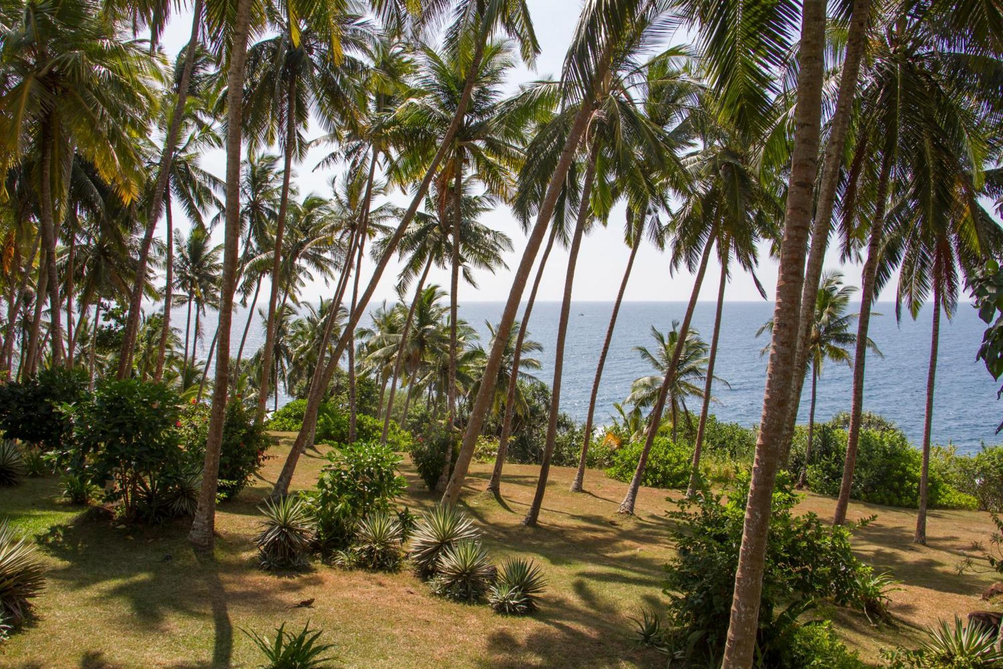 The Saffron House Hotel Dikwella Bagian luar foto