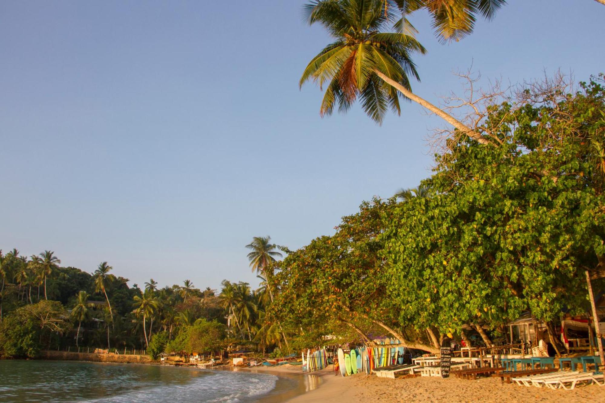 The Saffron House Hotel Dikwella Bagian luar foto