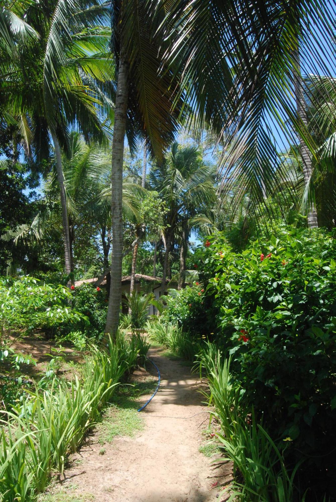 The Saffron House Hotel Dikwella Bagian luar foto