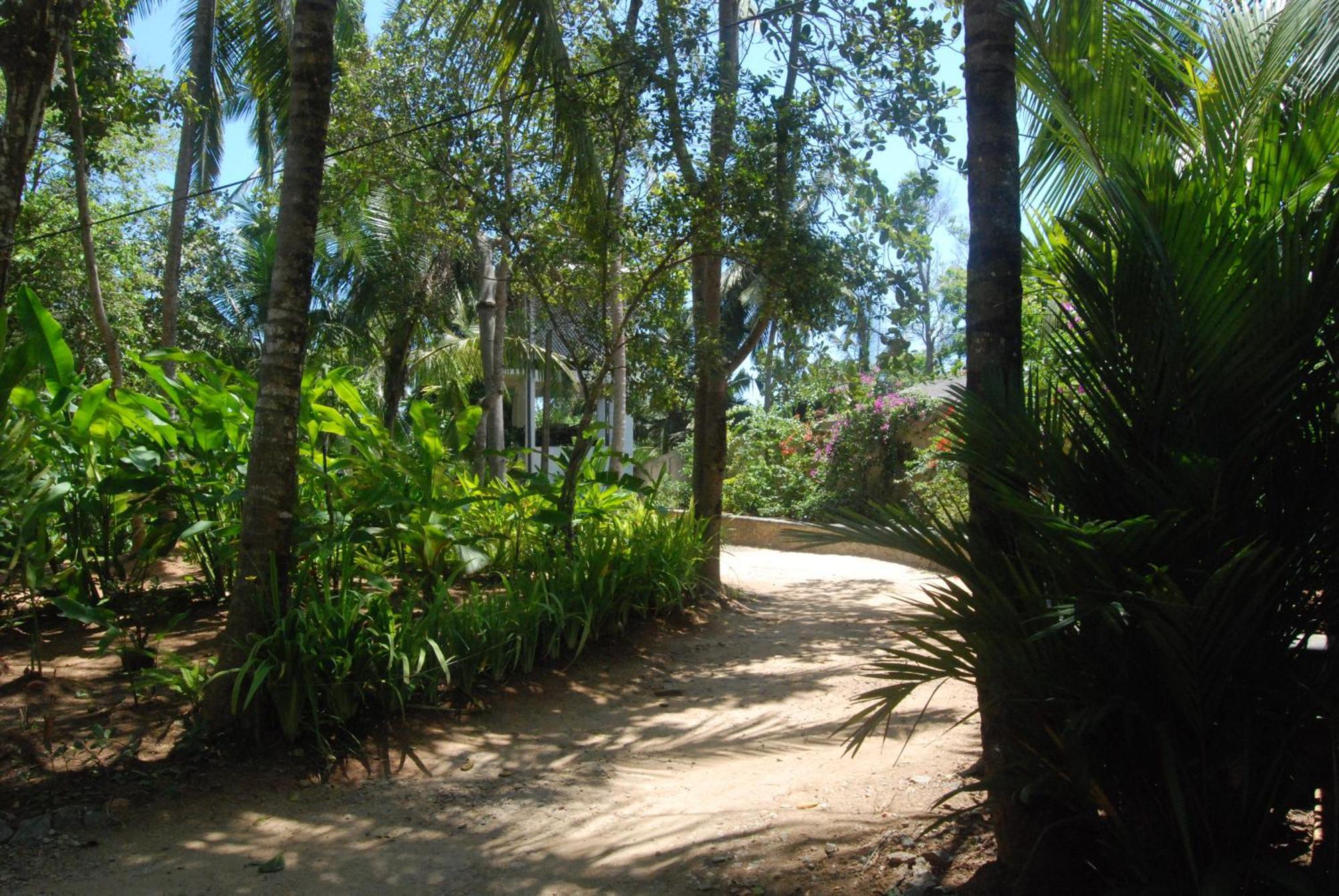 The Saffron House Hotel Dikwella Bagian luar foto
